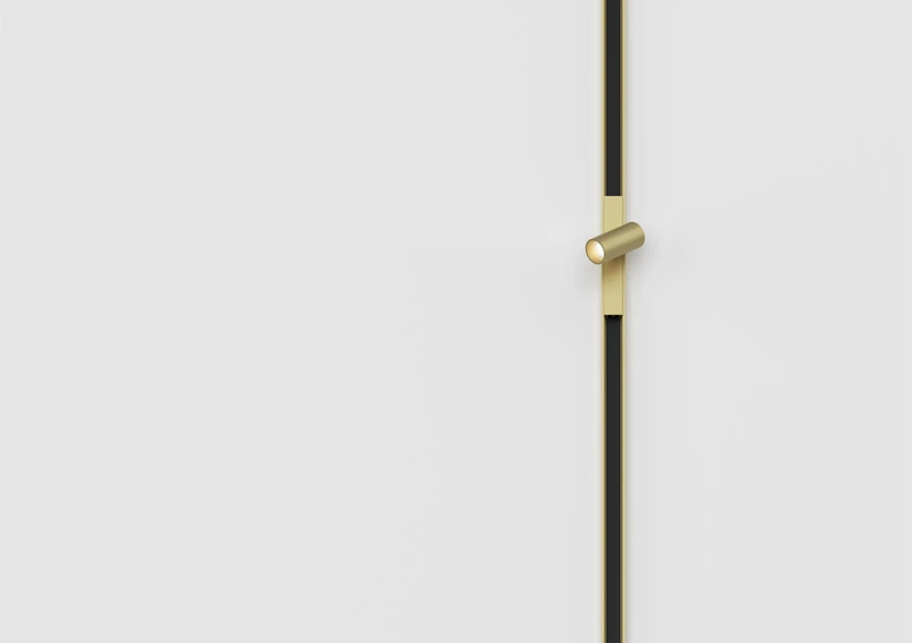 A vertical brass magnetic track running down a white wall with a single adjustable spot