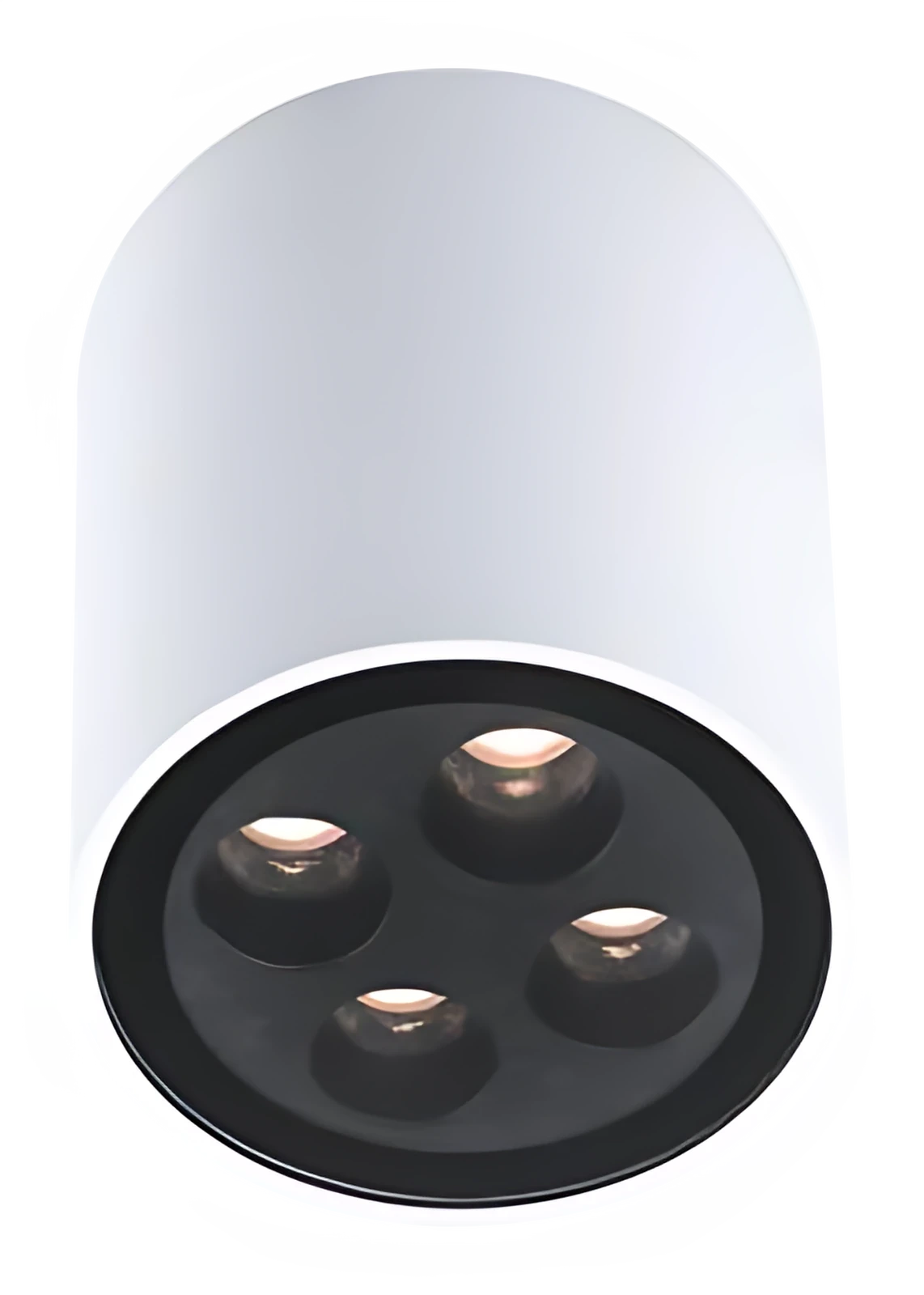 Bet CH0291