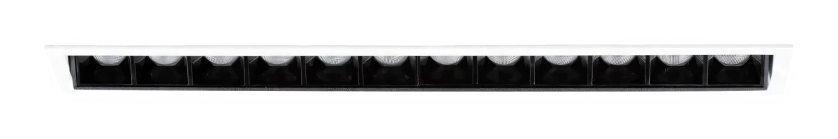 Bet DL1619