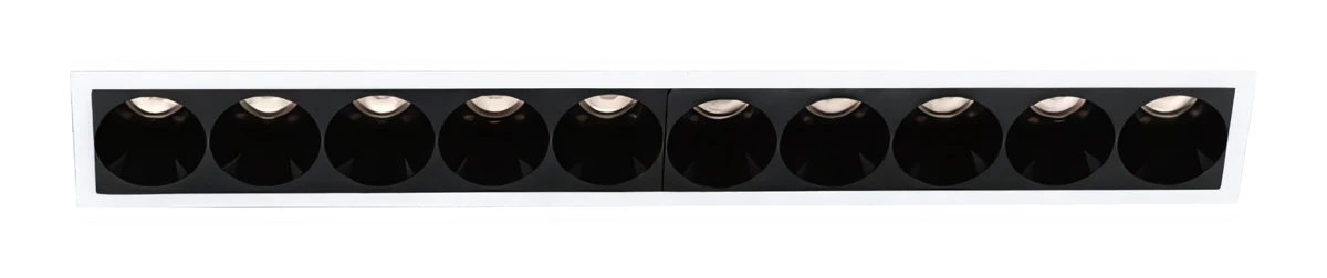 Bet DL1629