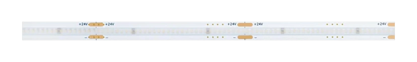 CSP CCT