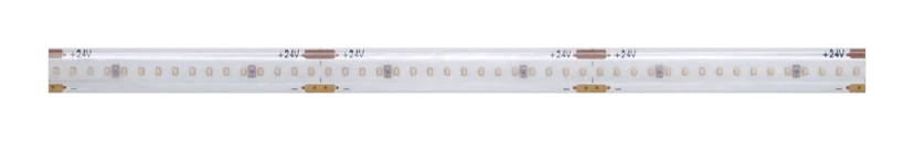 CSP Pro