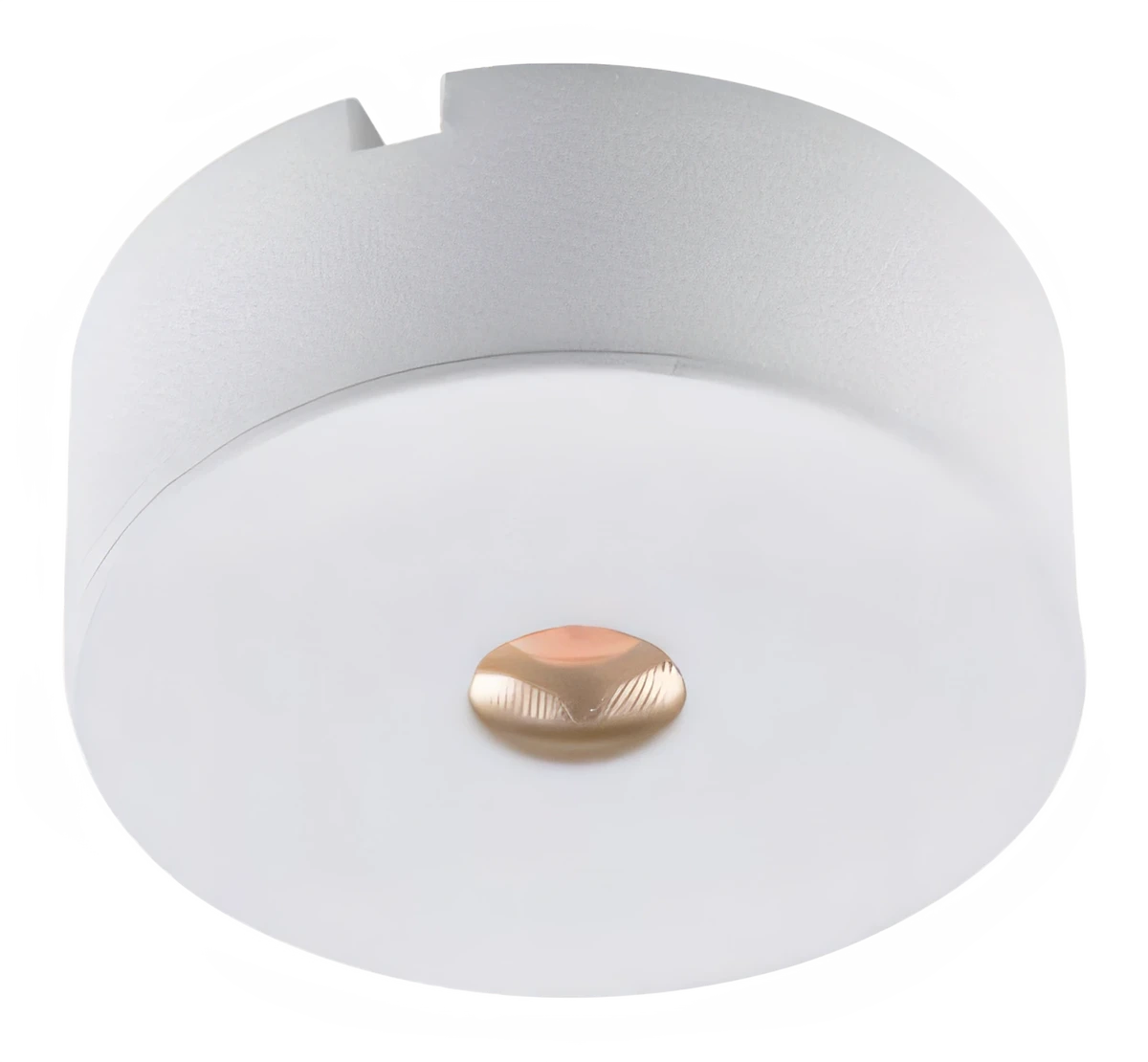Dot DL1843