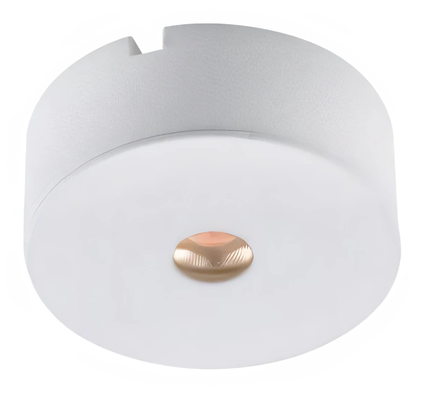 Dot DL1843