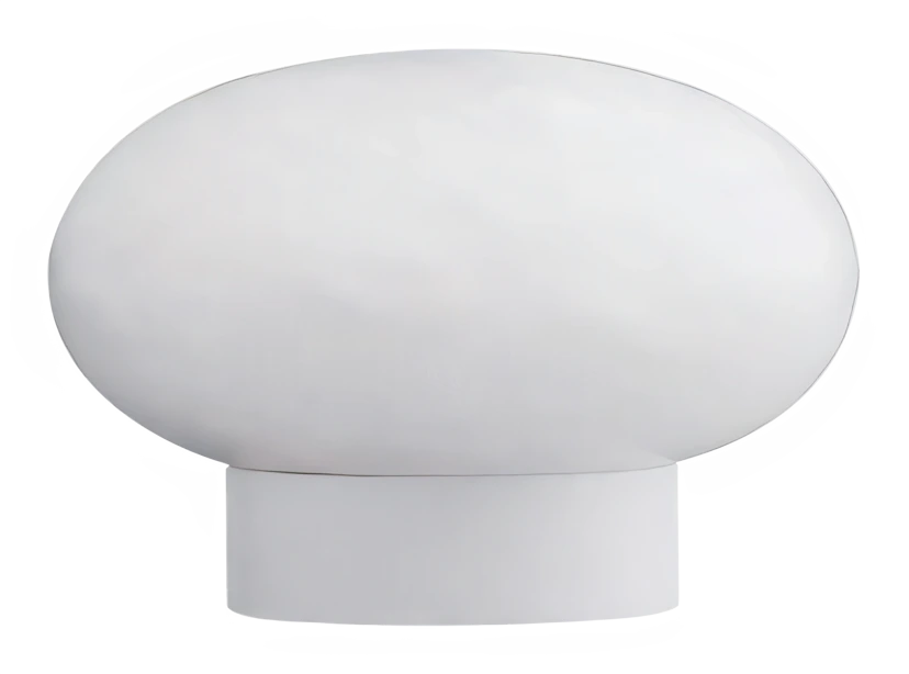Mobile ML0021