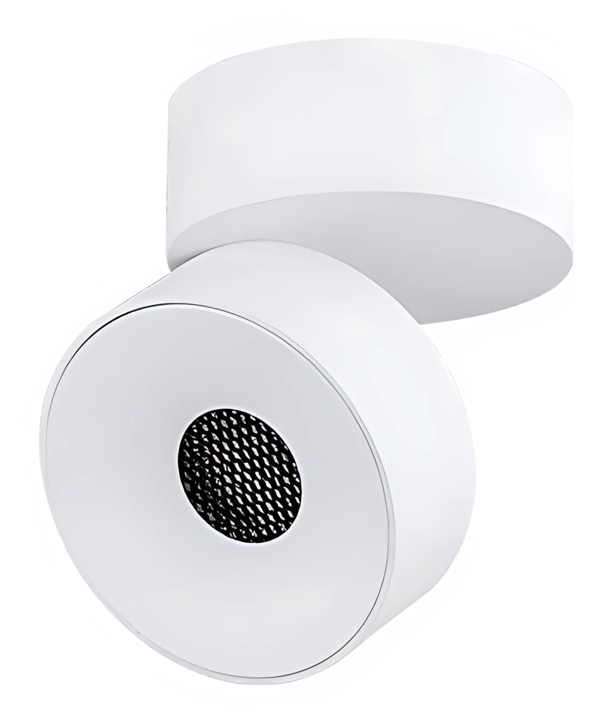 Robo CH0254