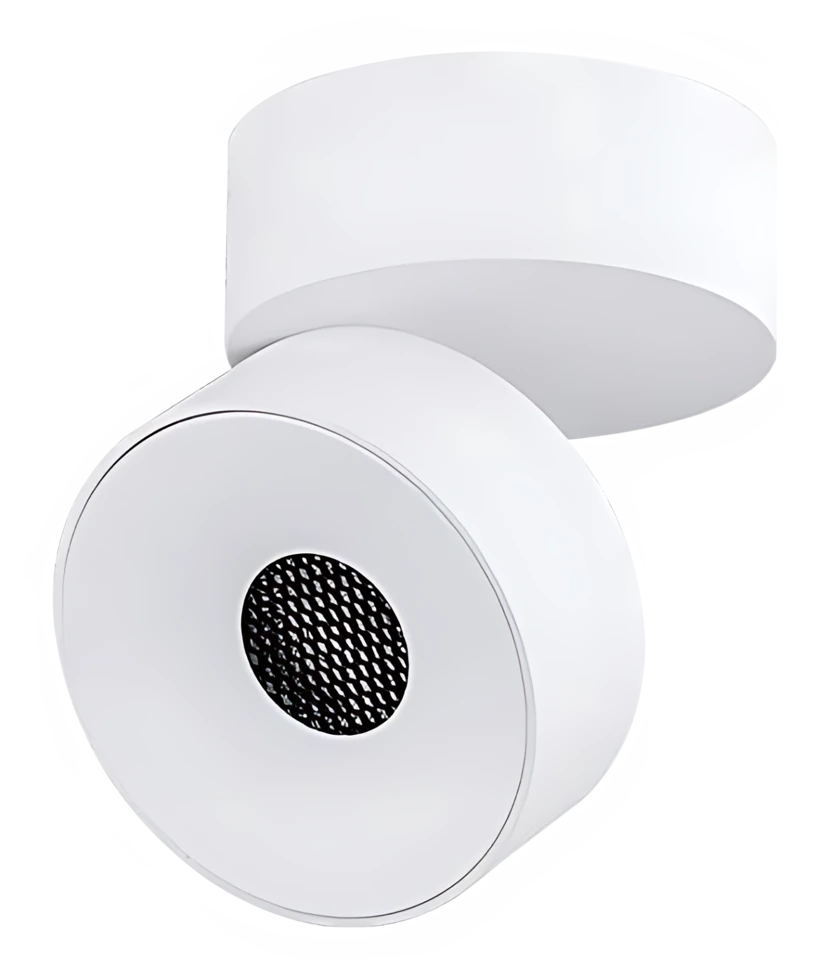 Robo CH0254