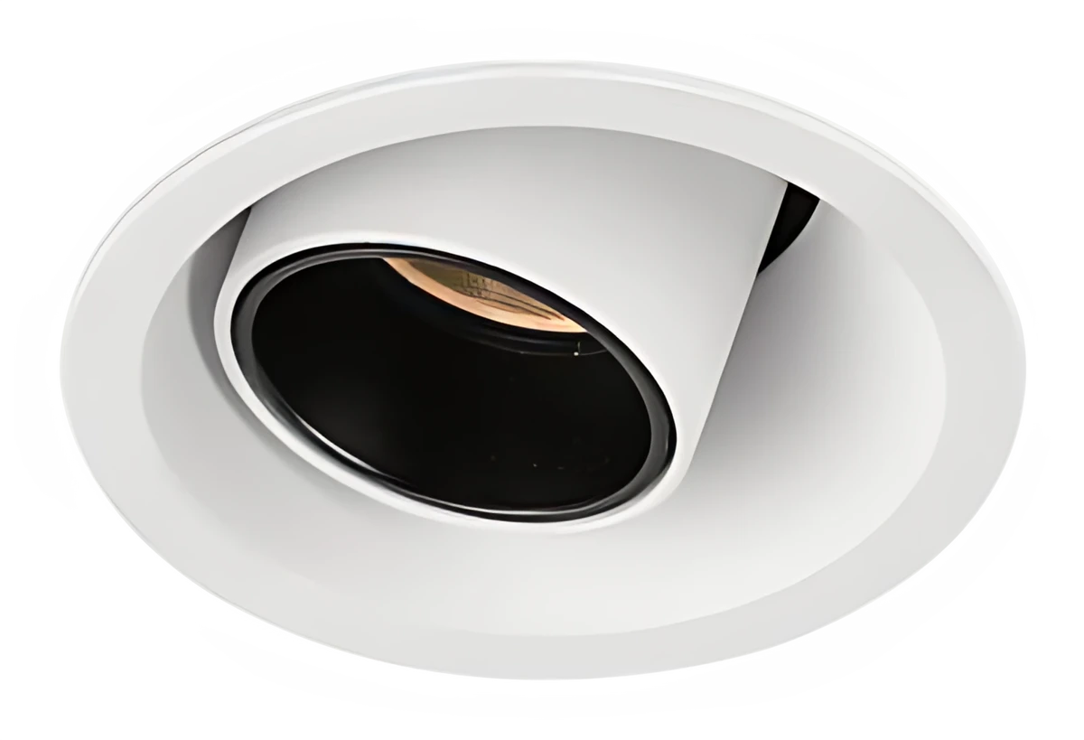 Robo DL1557