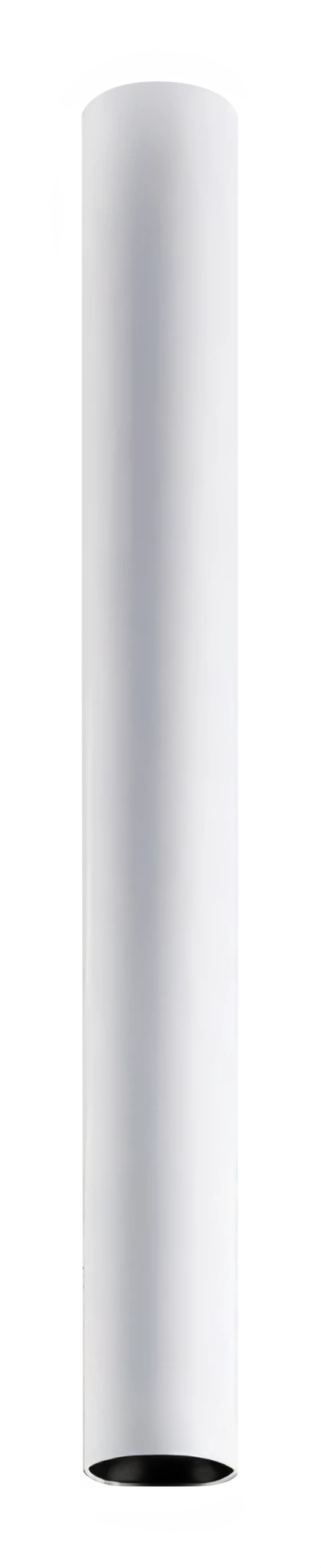 Roll CH0238