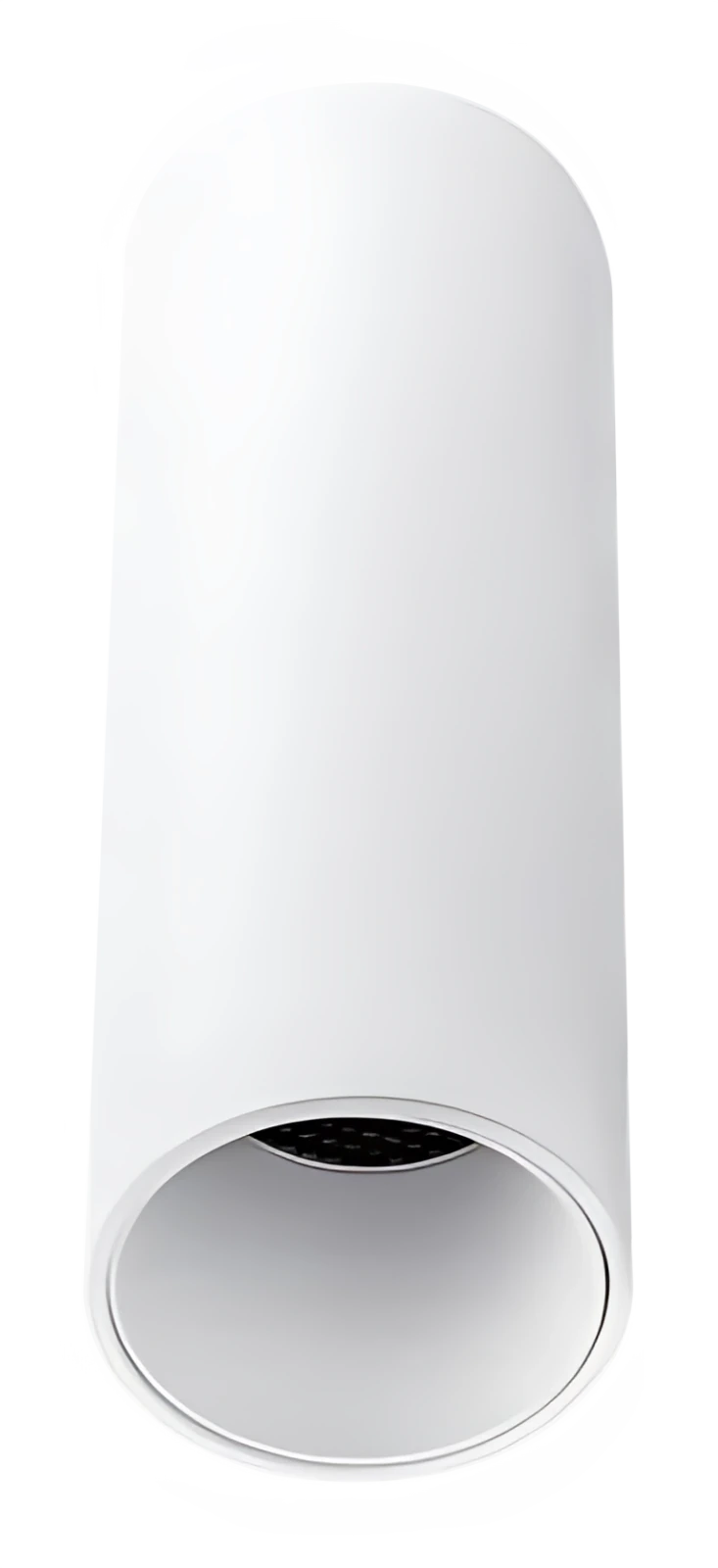 Roll CH0265
