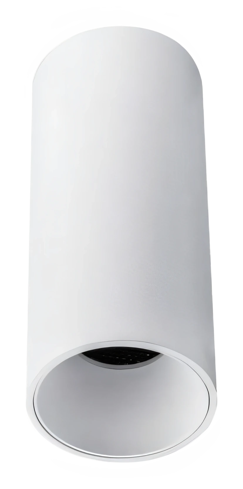 Roll CH0266