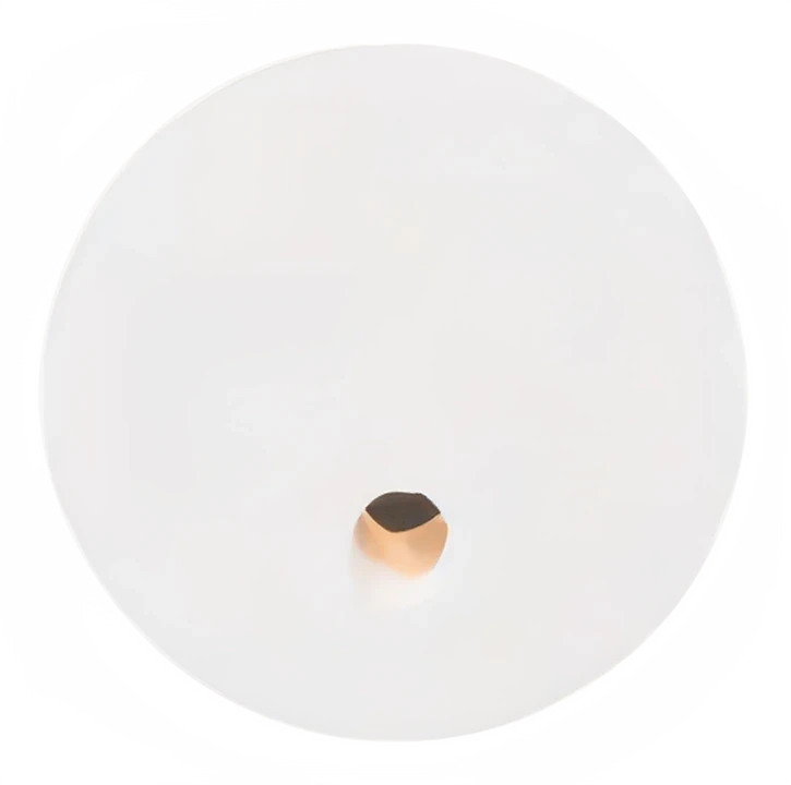 Star DL1219