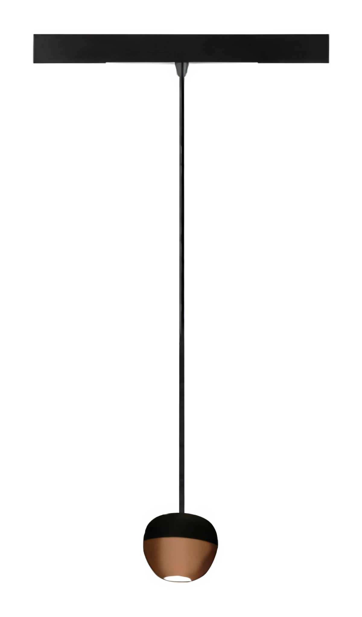 Tour TR0101