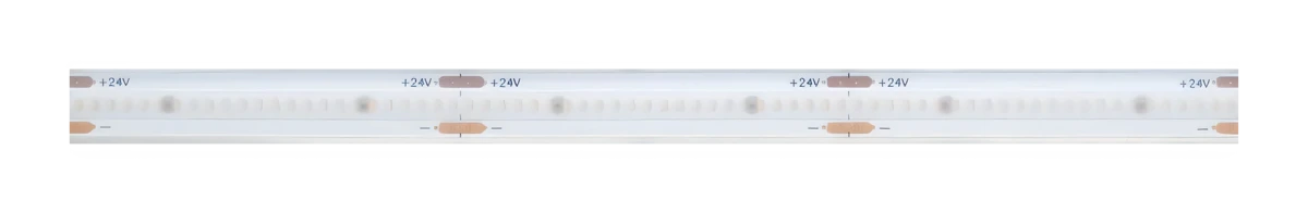 Venice OL-KNSF24480T00-8A19