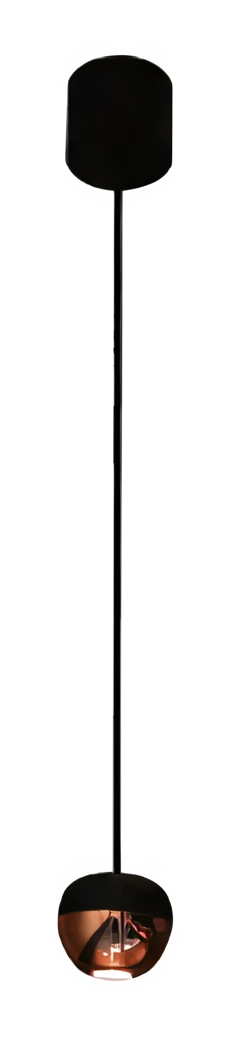 Zoom PH0018
