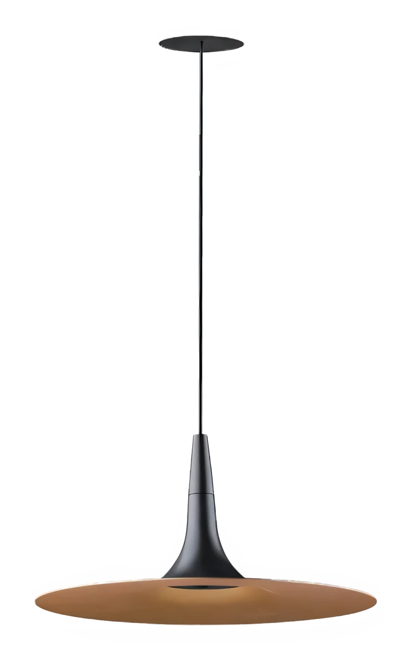 Zoom PH0066