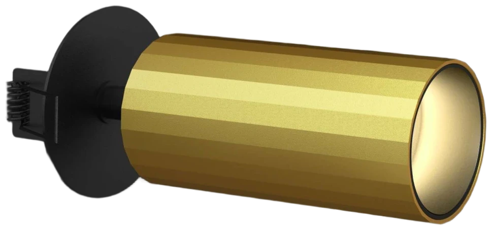 C2