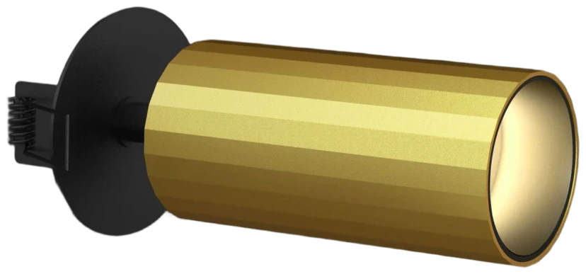 C2