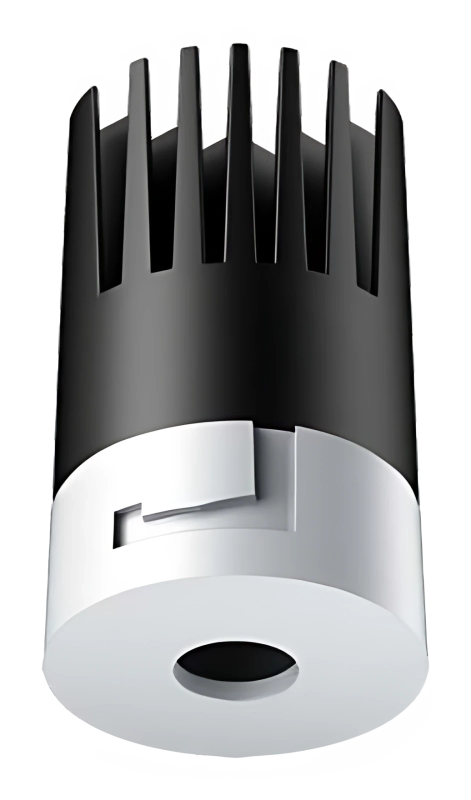 COSMOS-1202R