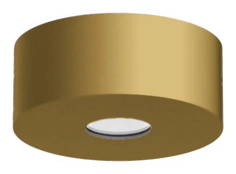 X2