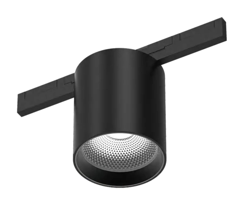 Locus SDH10