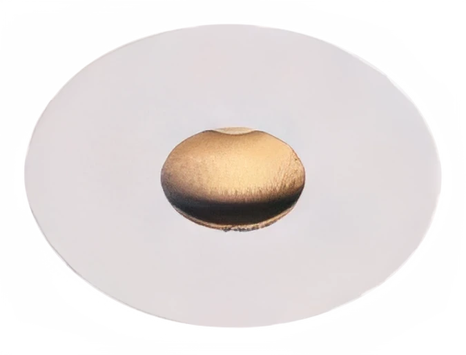 Vero DL1437